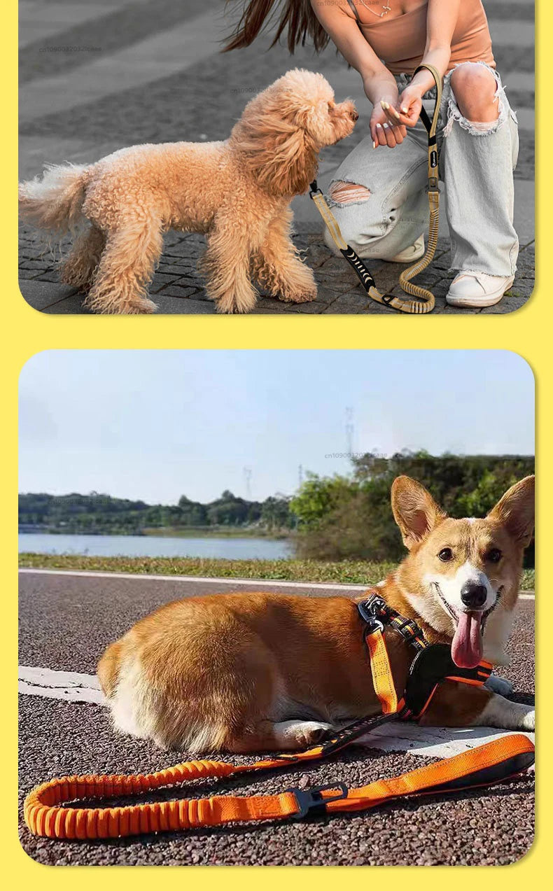 Heavy Duty Dog Leash for Large Dogs Shock Absorbing Bungee Tactical Dog Leash with 2 Padded Handle Strong No Pull Dog Leash