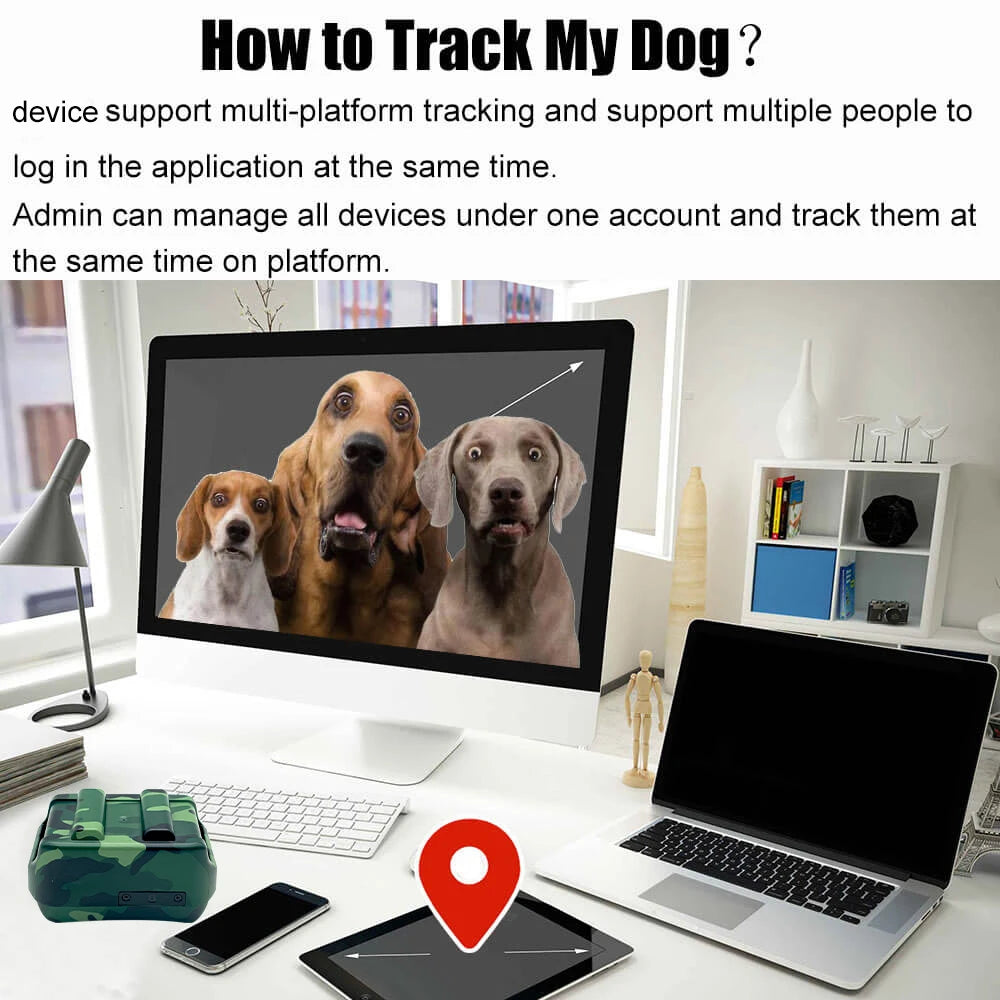 4G Pet Tracker Hound Gps Collar Animal Real Time Tracking IP67 Waterproof Hound Locator for Medium Large Dogs