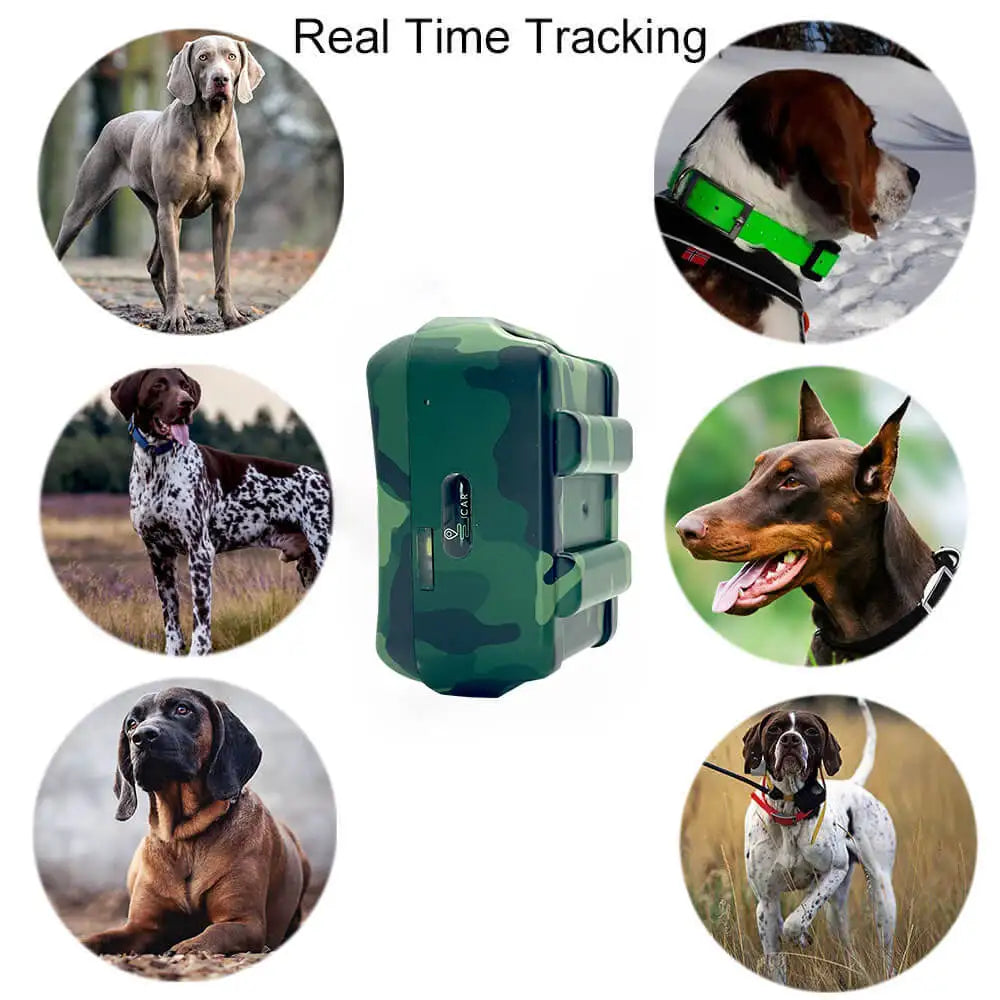4G GPS Tracker For Hound Cow Sheep Waterproof Pet Tracker Geo-fence Dog Collar Voice Monitor
