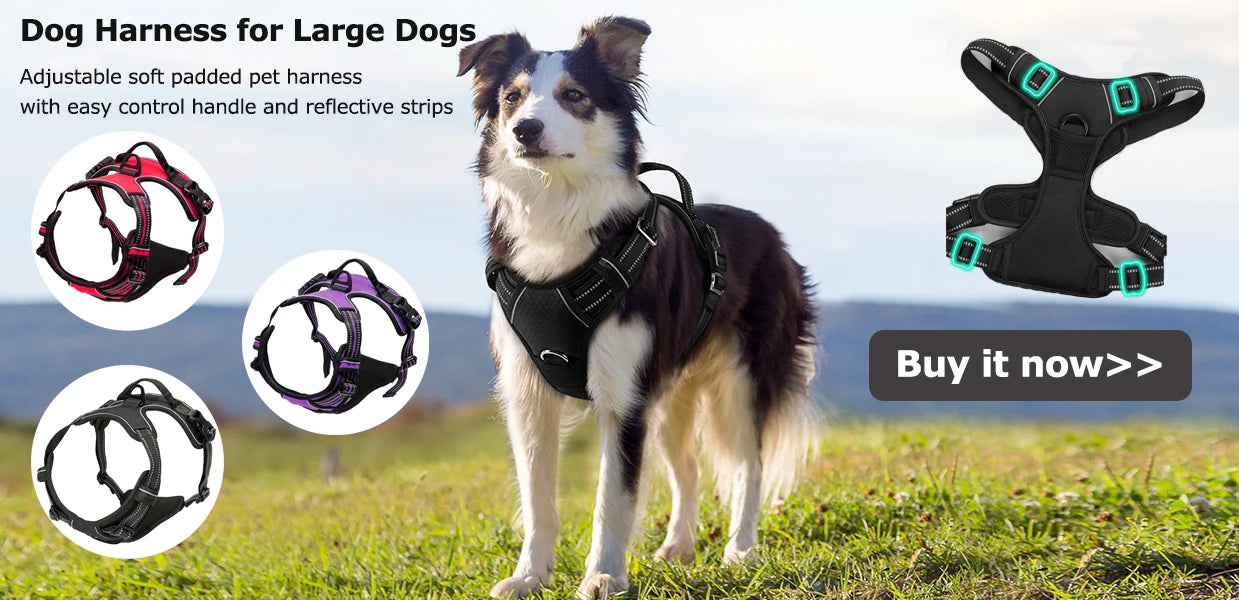 Heavy Duty Dog Leash for Large Dogs Shock Absorbing Bungee Tactical Dog Leash with 2 Padded Handle Strong No Pull Dog Leash