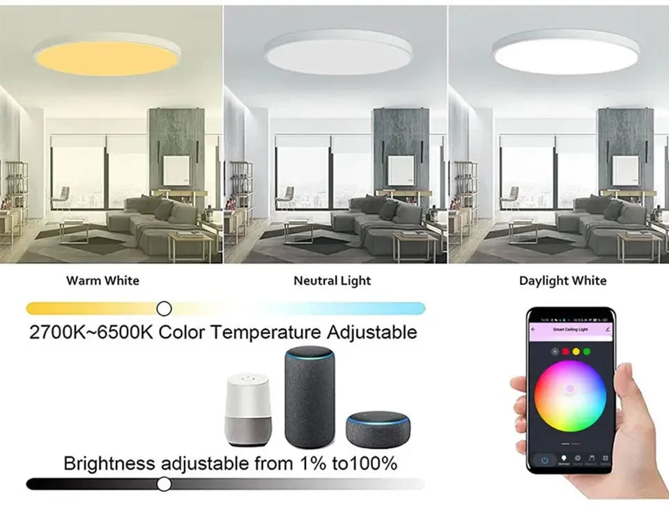 Tuya Smart WiFi Ceiling Light AC 220V 24W RGBCW Ambient Lamp APP Control Alexa Geogle Home Voice Control For Bedroom Home Decor