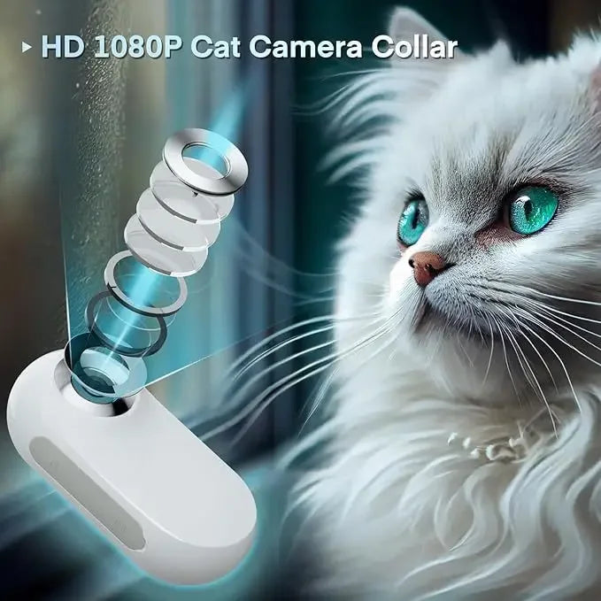 Pet Supplies Cat Dog Collar Camera Outdoor Exercise Camera Video Mini Body Camera