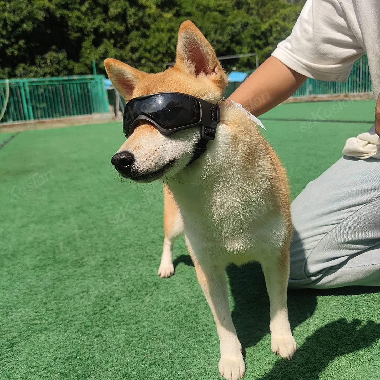 Dog Goggles Medium Small Breed Dog Sunglasses for Adjustable UV Protection Eyewear for Dog puppy Outdoor Riding Driving
